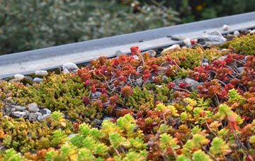 the cost of Ingthorpe green roof installation