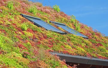 Ingthorpe living roof systems