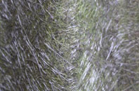 Ingthorpe fibreglass roof work